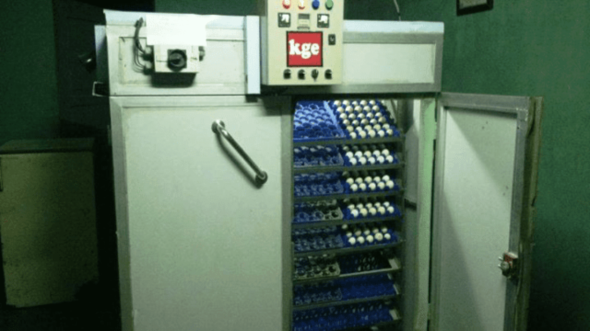 1,440 Chicken Egg Capacity KGE Incubator Powered by ...
