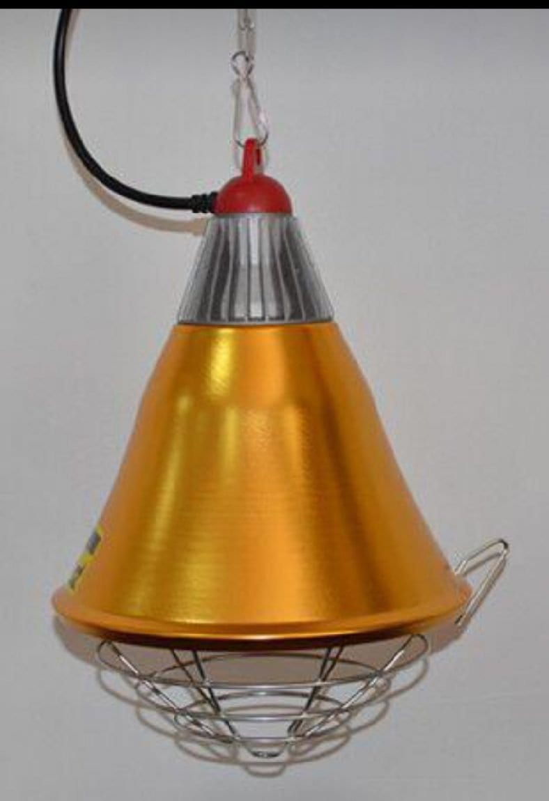 Infrared Heating/Brooding Lamp (For Piglets and Chicks) 250W Afrimash