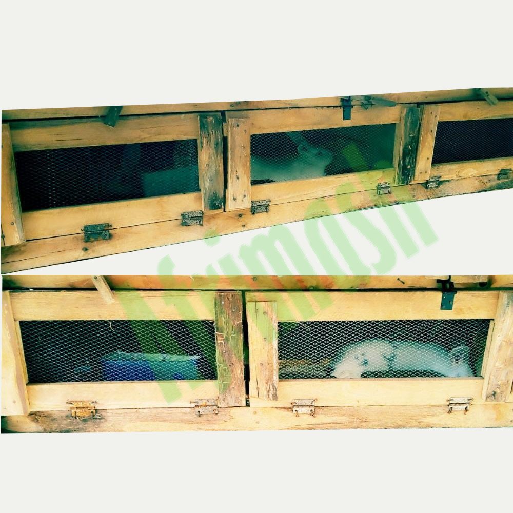 rabbit housing system