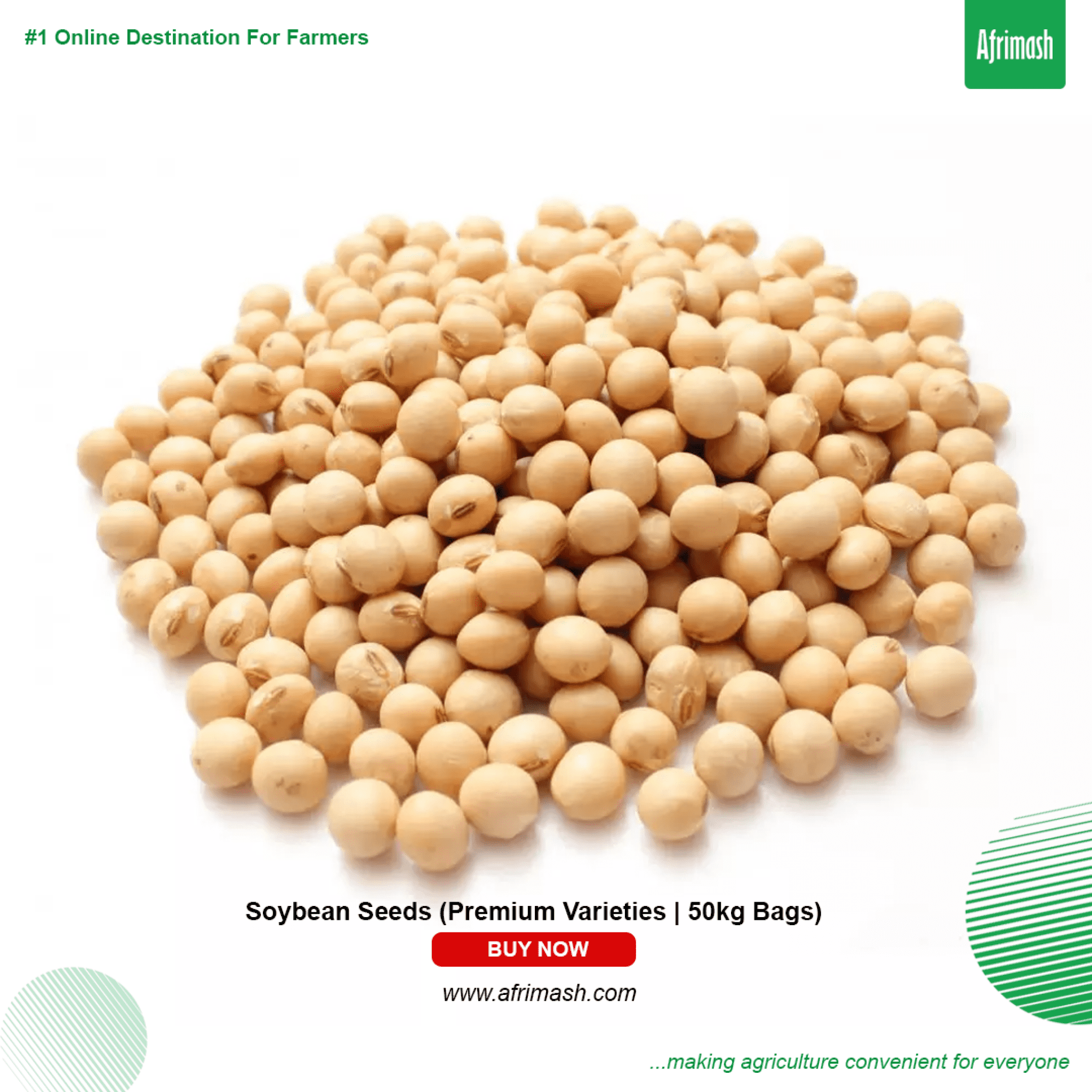 Soybean Seeds (Premium Varieties 50kg Bags) Nigeria
