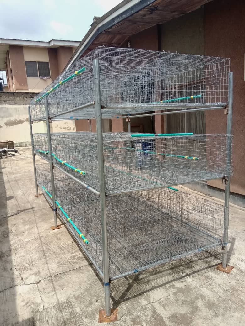 galvanized rabbit cages