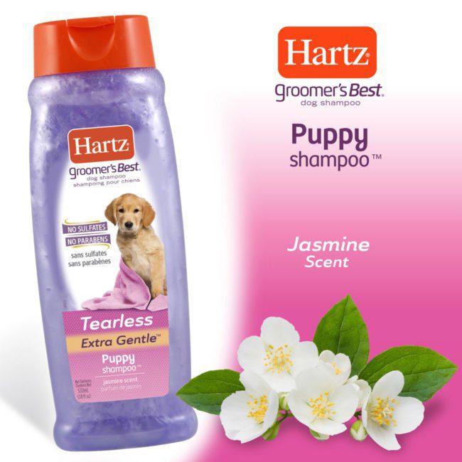 shampoo hartz