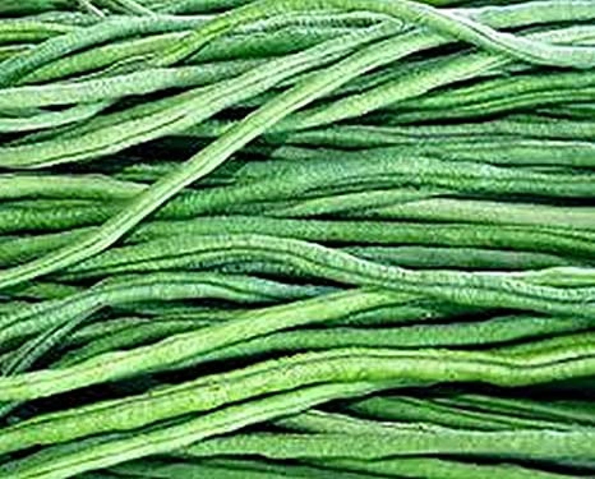 Yard Long Beans Ayoka/Gita F1 Seeds 100g Sachets Nigeria
