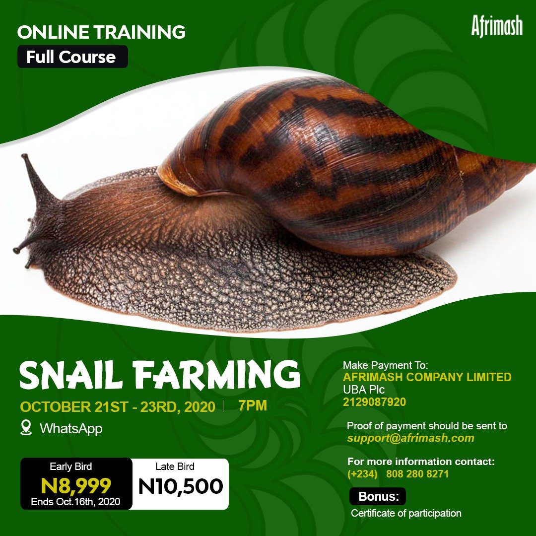Full Online Training on Snail Farming Nigeria