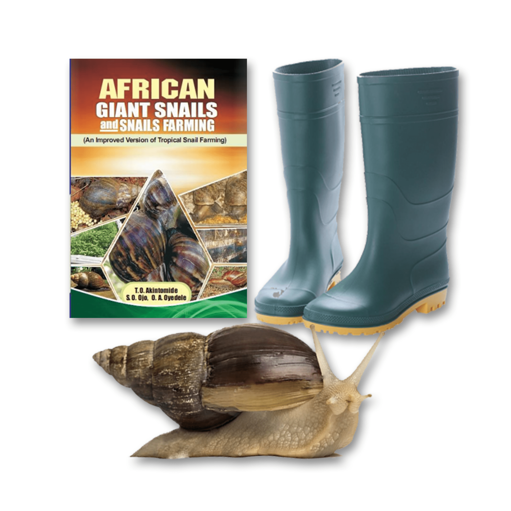 Special Snail Combo Package Afrimash Nigeria