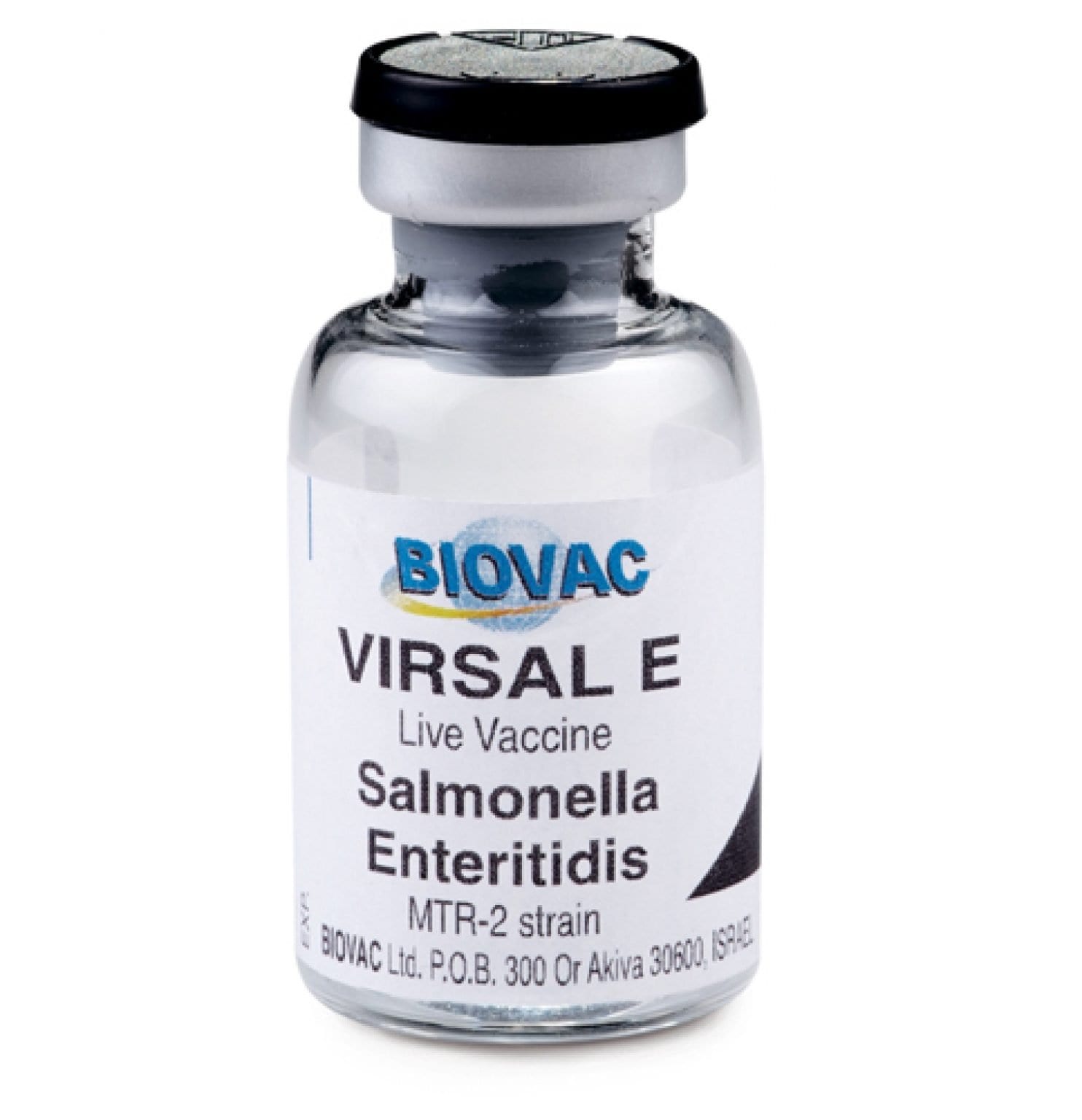 Salmonella Live Vaccine (Biovac Brand) + Transport Flask - Afrimash.com